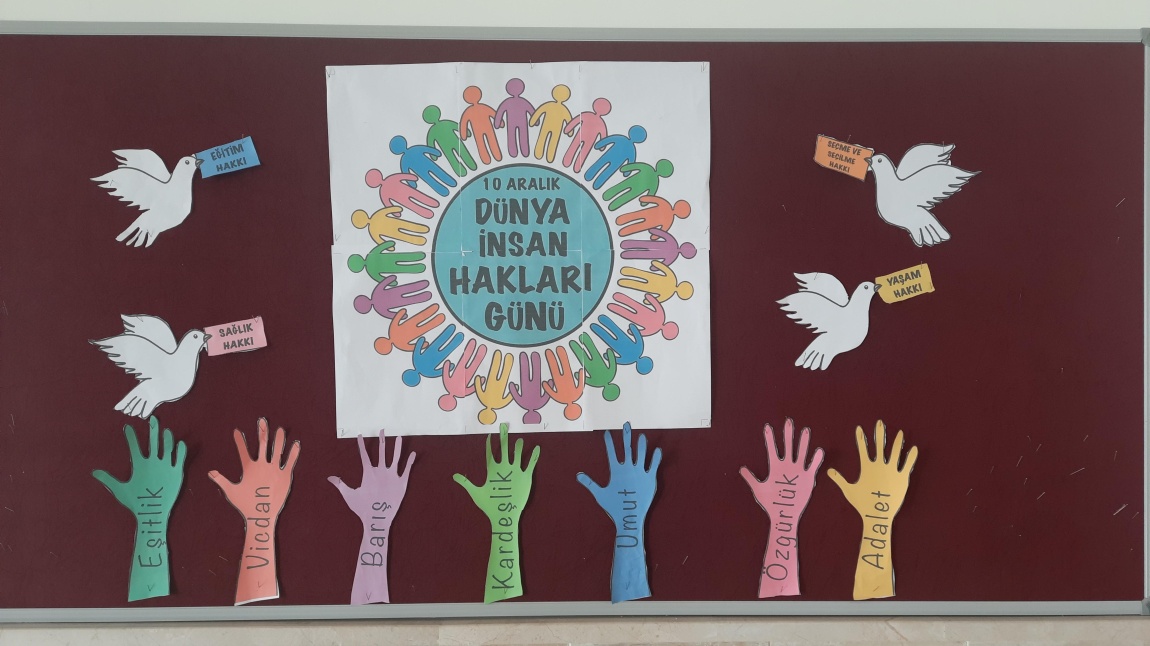 Dünya İnsan Hakları Günü Okul Panomuz Hazırlandı.