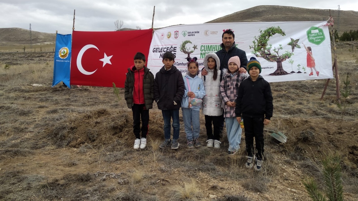 11 Kasım Milli Ağaçlandırma Günü 